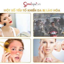 Trị mụn huyết thanh tảo biển